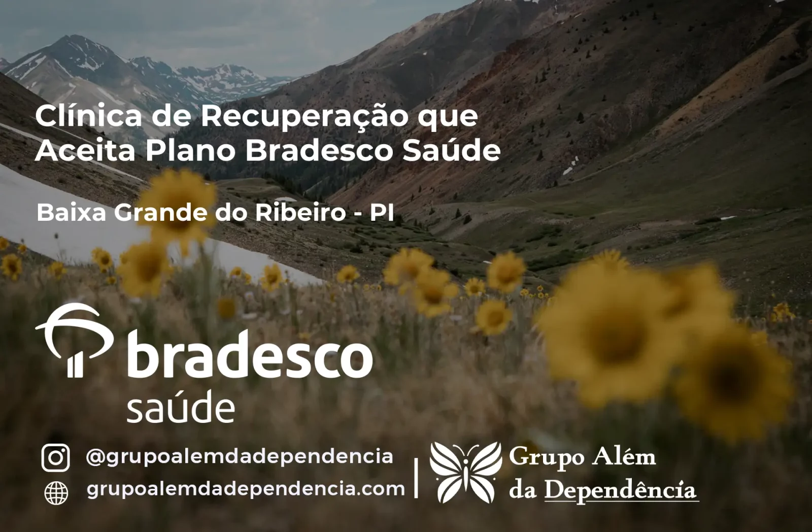 Clínica de Recuperação que Aceita Bradesco Saúde em Baixa Grande do Ribeiro - PI