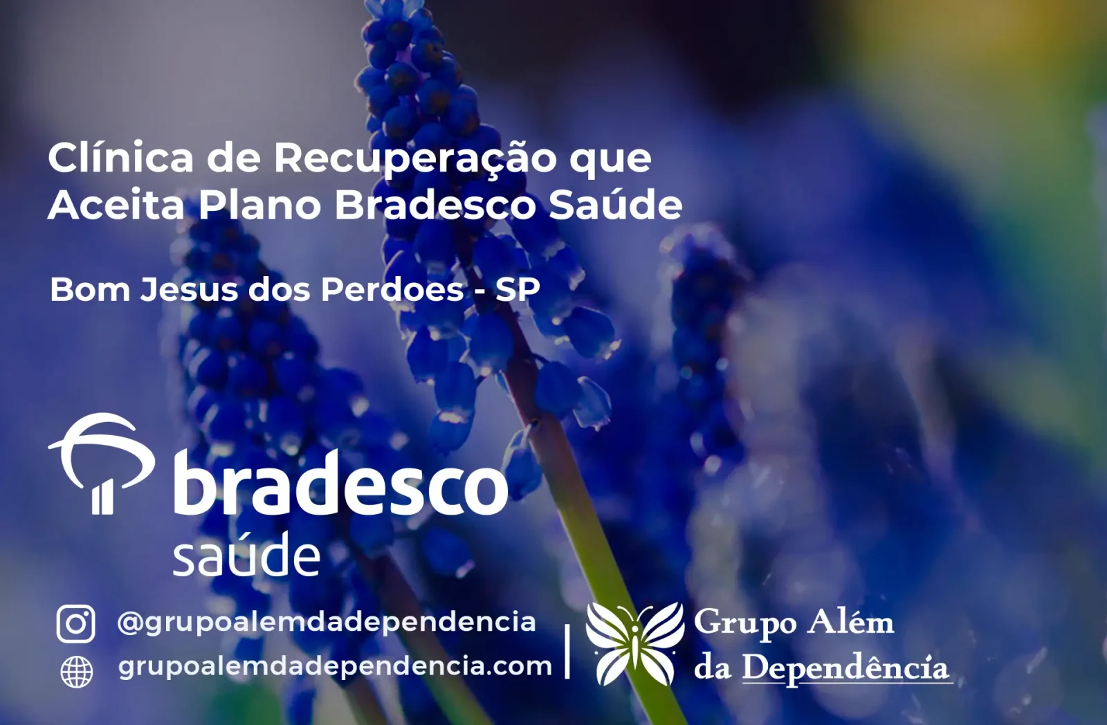 Clínica de Recuperação que Aceita Bradesco Saúde em Bom Jesus dos Perdões - SP