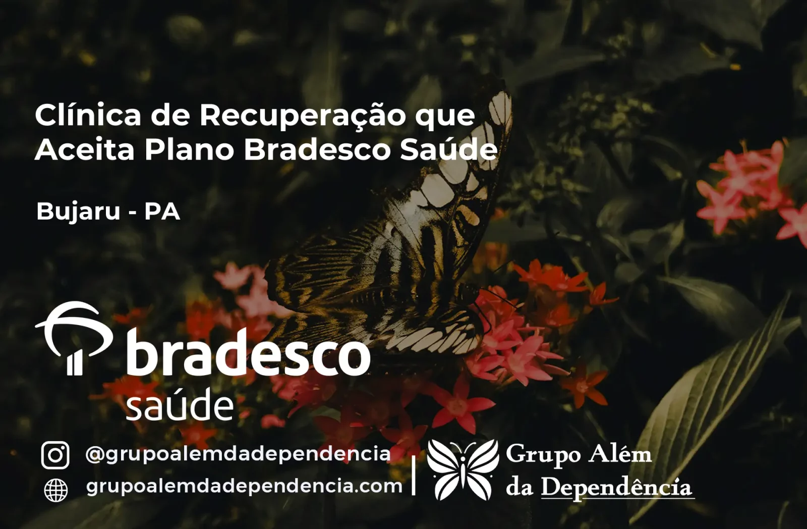 Clínica de Recuperação que Aceita Bradesco Saúde em Bujaru - PA