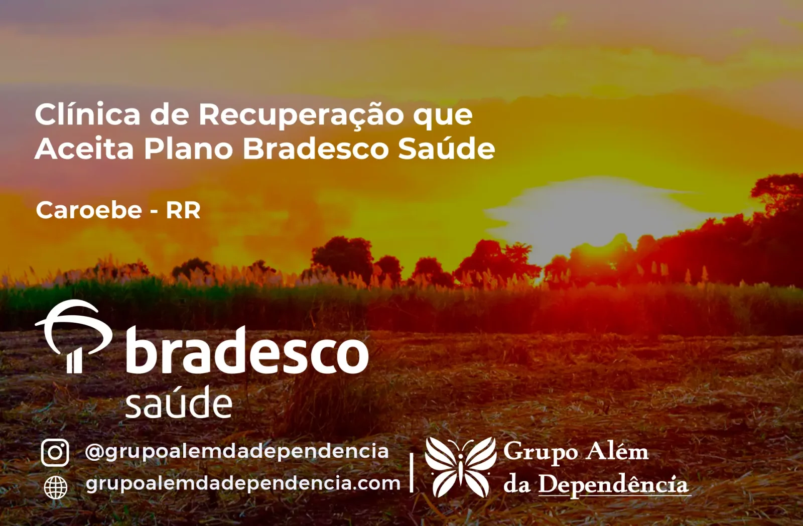 Clínica de Recuperação que Aceita Bradesco Saúde em Caroebe - RR