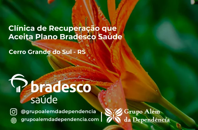 Clínica de Recuperação que Aceita Bradesco Saúde em Cerro Grande do Sul - RS