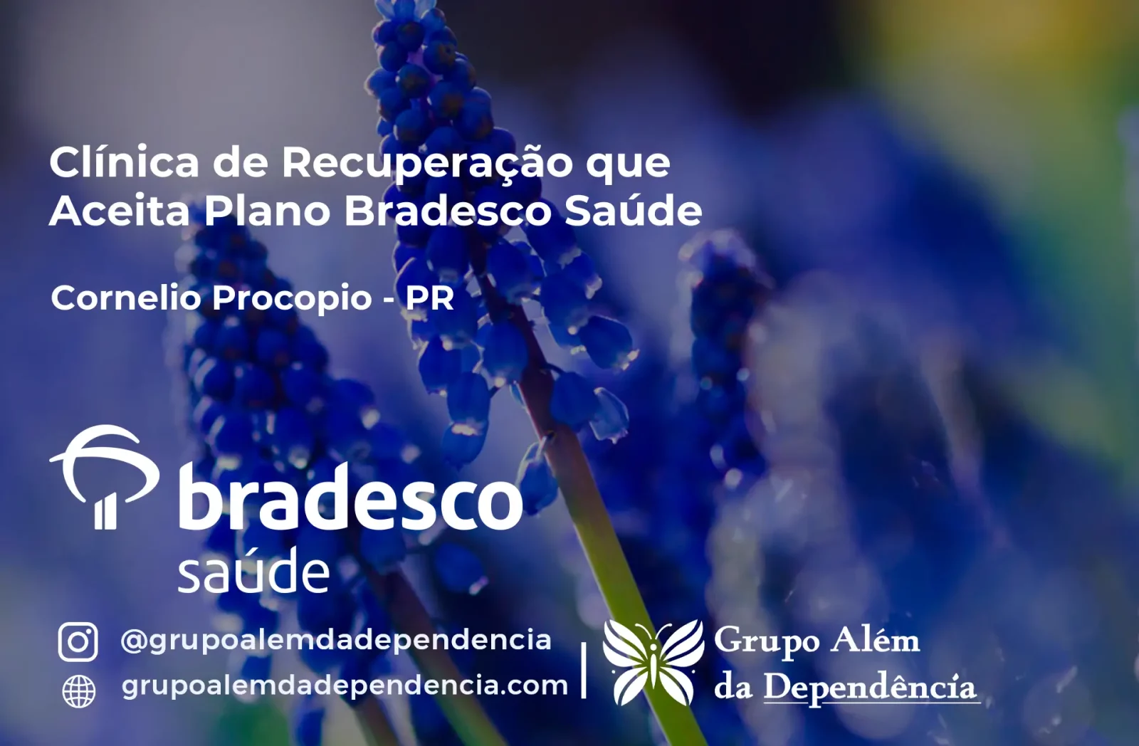 Clínica de Recuperação que Aceita Bradesco Saúde em Cornélio Procópio - PR