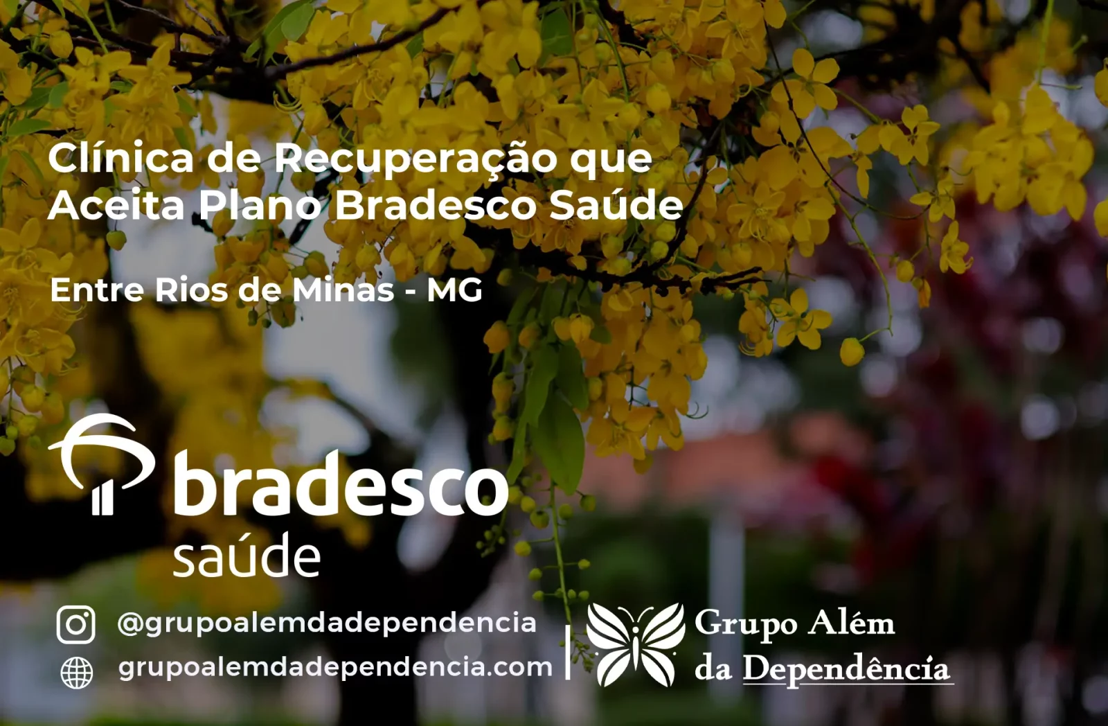 Clínica de Recuperação que Aceita Bradesco Saúde em Entre Rios de Minas - MG