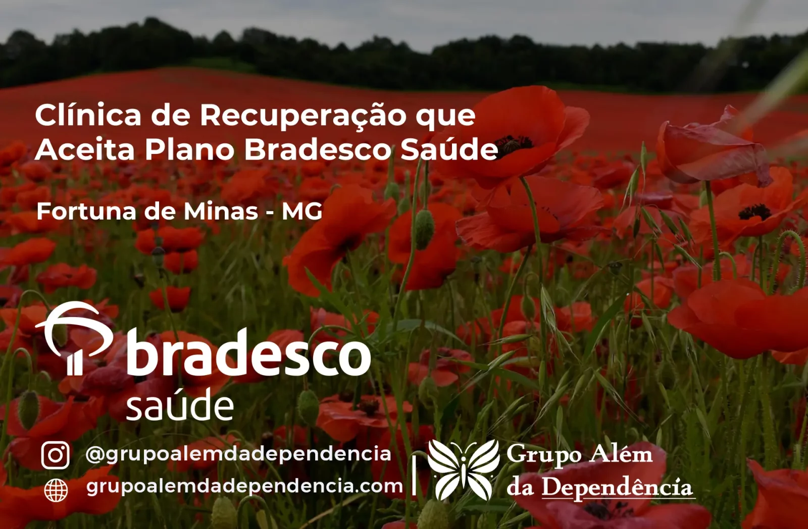 Clínica de Recuperação que Aceita Bradesco Saúde em Fortuna de Minas - MG