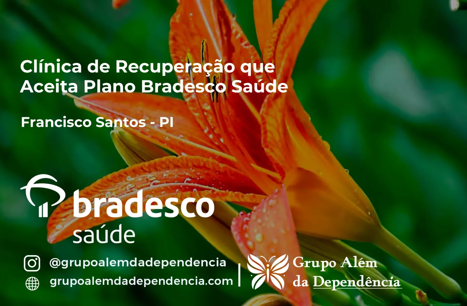 Clínica de Recuperação que Aceita Bradesco Saúde em Francisco Santos - PI