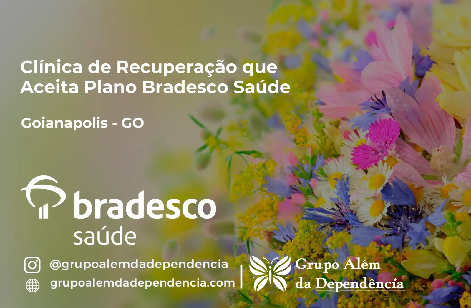 Clínica de Recuperação que Aceita Bradesco Saúde em Goianápolis - GO