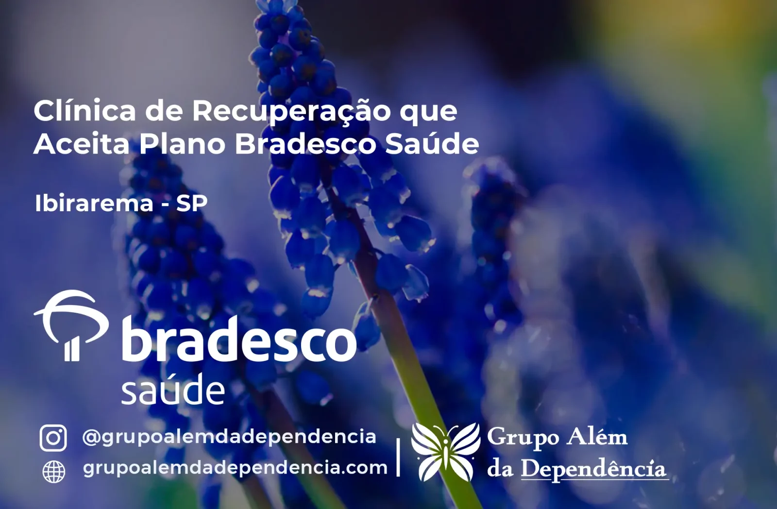 Clínica de Recuperação que Aceita Bradesco Saúde em Ibirarema - SP