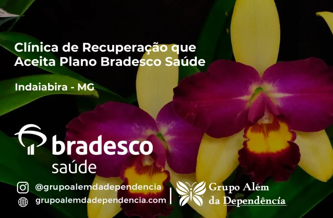 Clínica de Recuperação que Aceita Bradesco Saúde em Indaiabira - MG