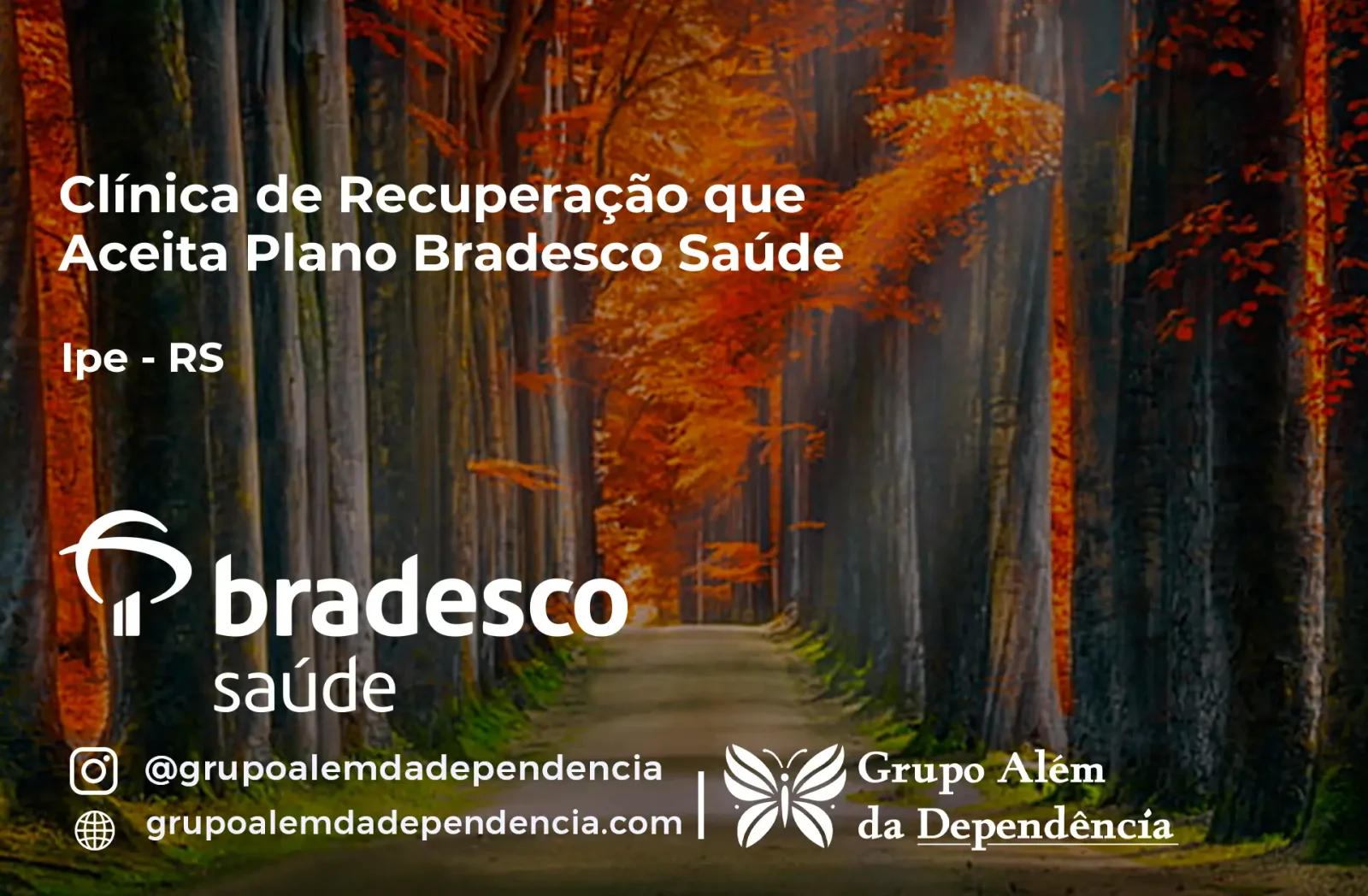 Clínica de Recuperação que Aceita Bradesco Saúde em Ipê - RS