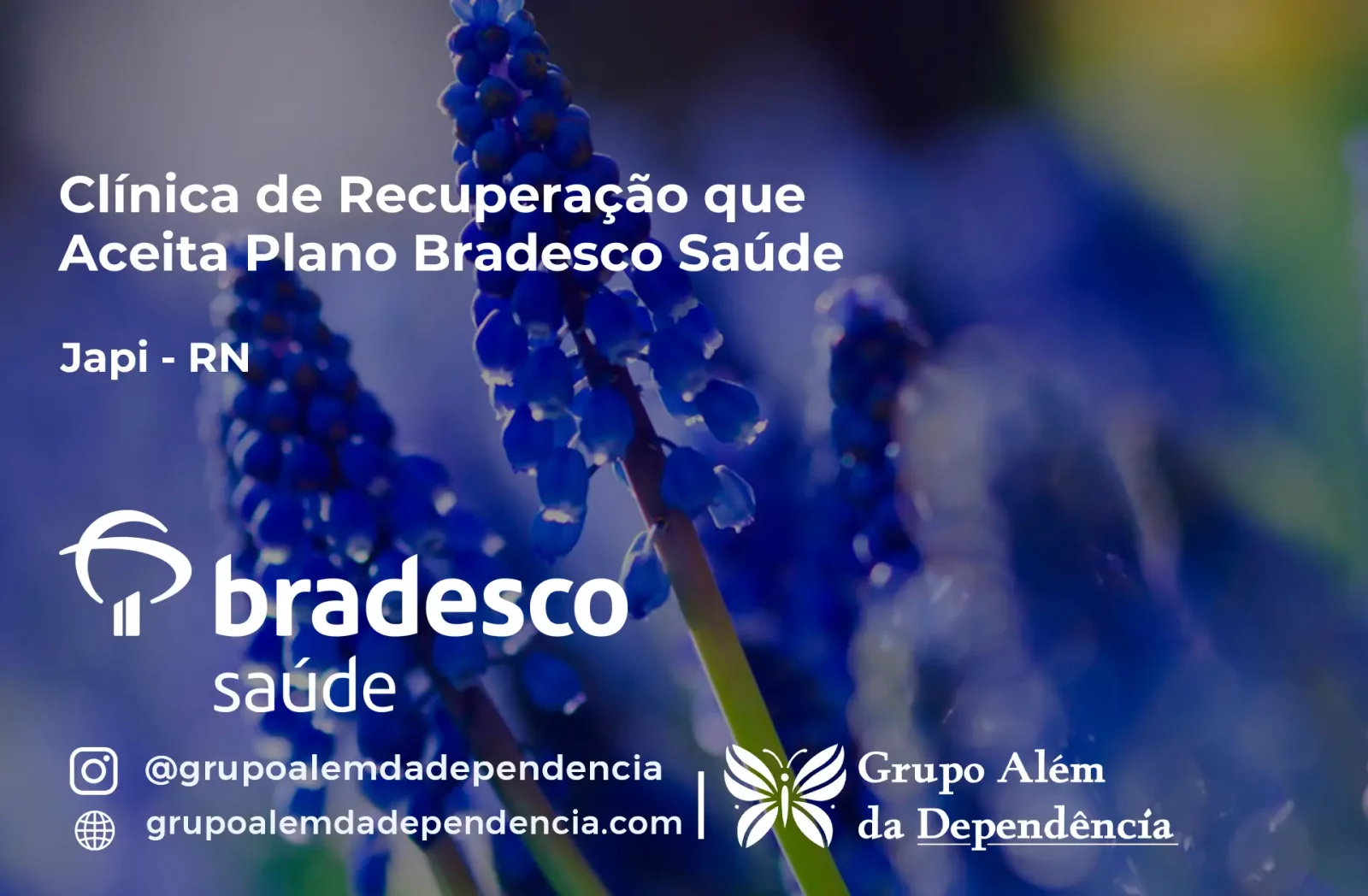 Clínica de Recuperação que Aceita Bradesco Saúde em Japi - RN