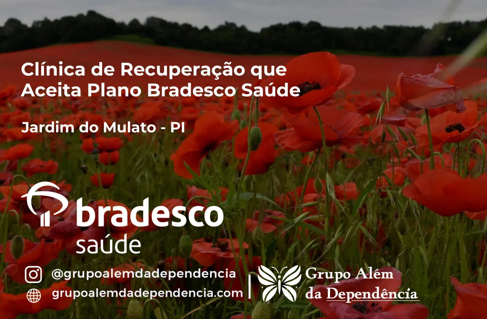 Clínica de Recuperação que Aceita Bradesco Saúde em Jardim do Mulato - PI