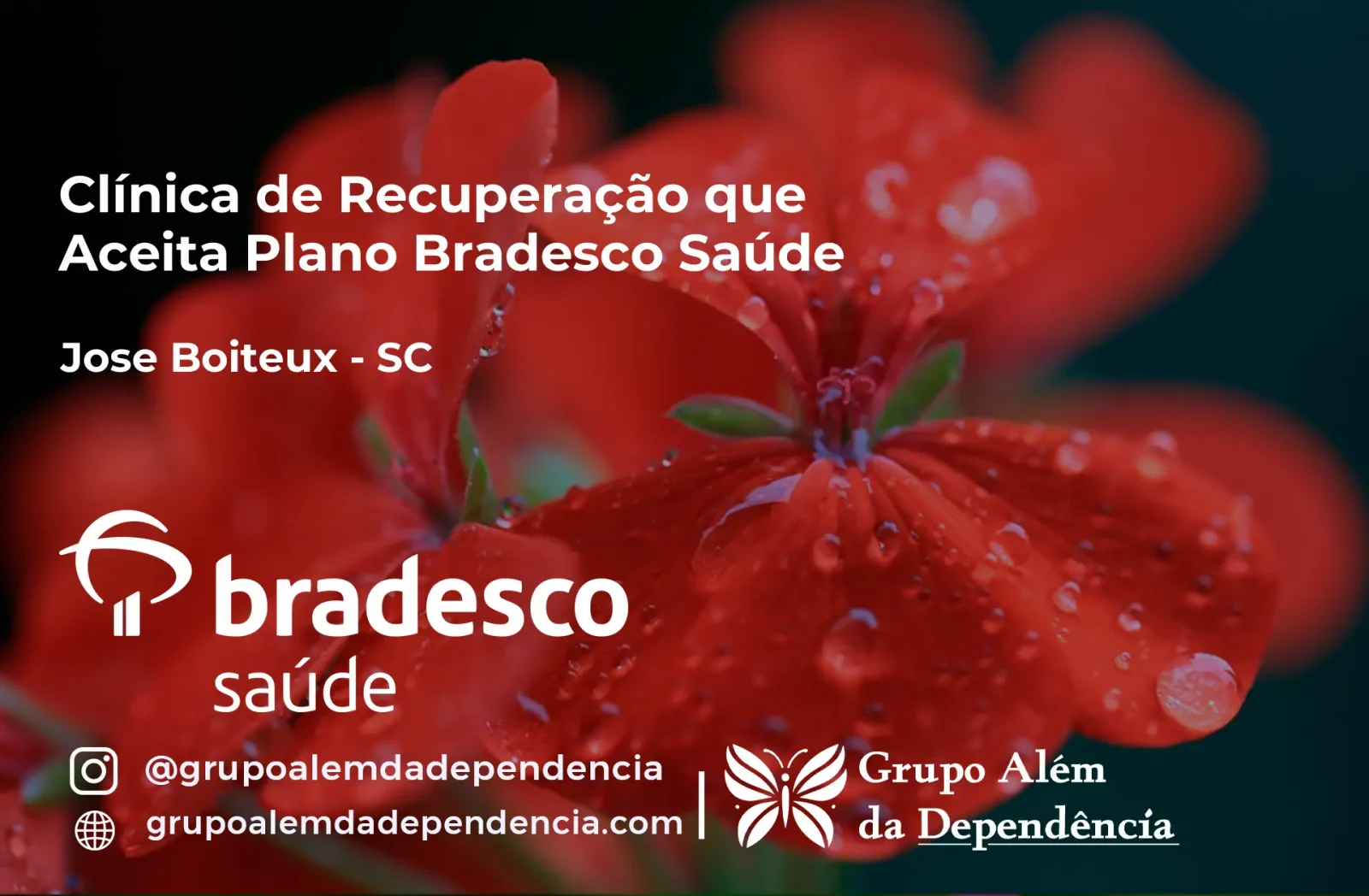 Clínica de Recuperação que Aceita Bradesco Saúde em José Boiteux - SC