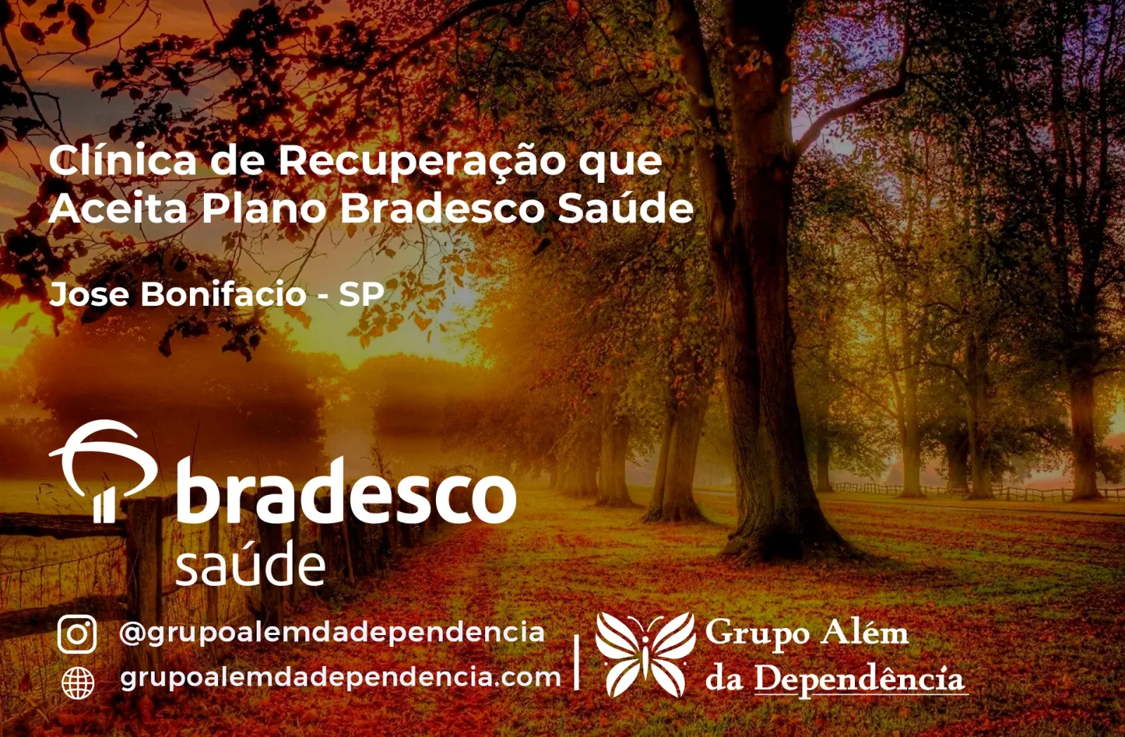 Clínica de Recuperação que Aceita Bradesco Saúde em José Bonifácio - SP