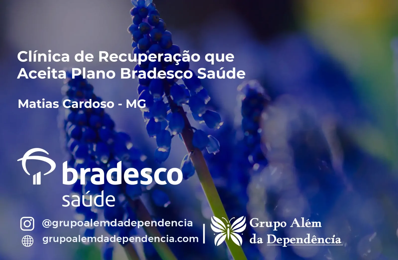 Clínica de Recuperação que Aceita Bradesco Saúde em Matias Cardoso - MG