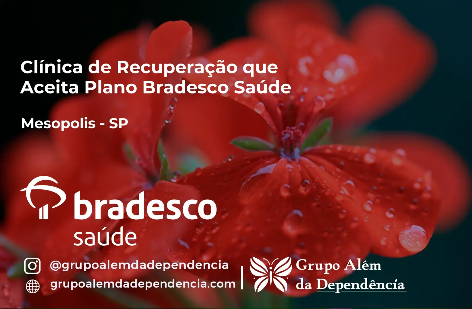 Clínica de Recuperação que Aceita Bradesco Saúde em Mesópolis - SP