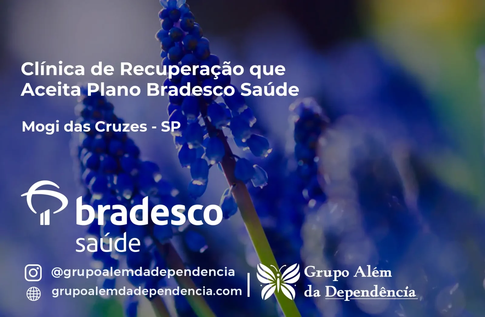 Clínica de Recuperação que Aceita Bradesco Saúde em Mogi das Cruzes - SP