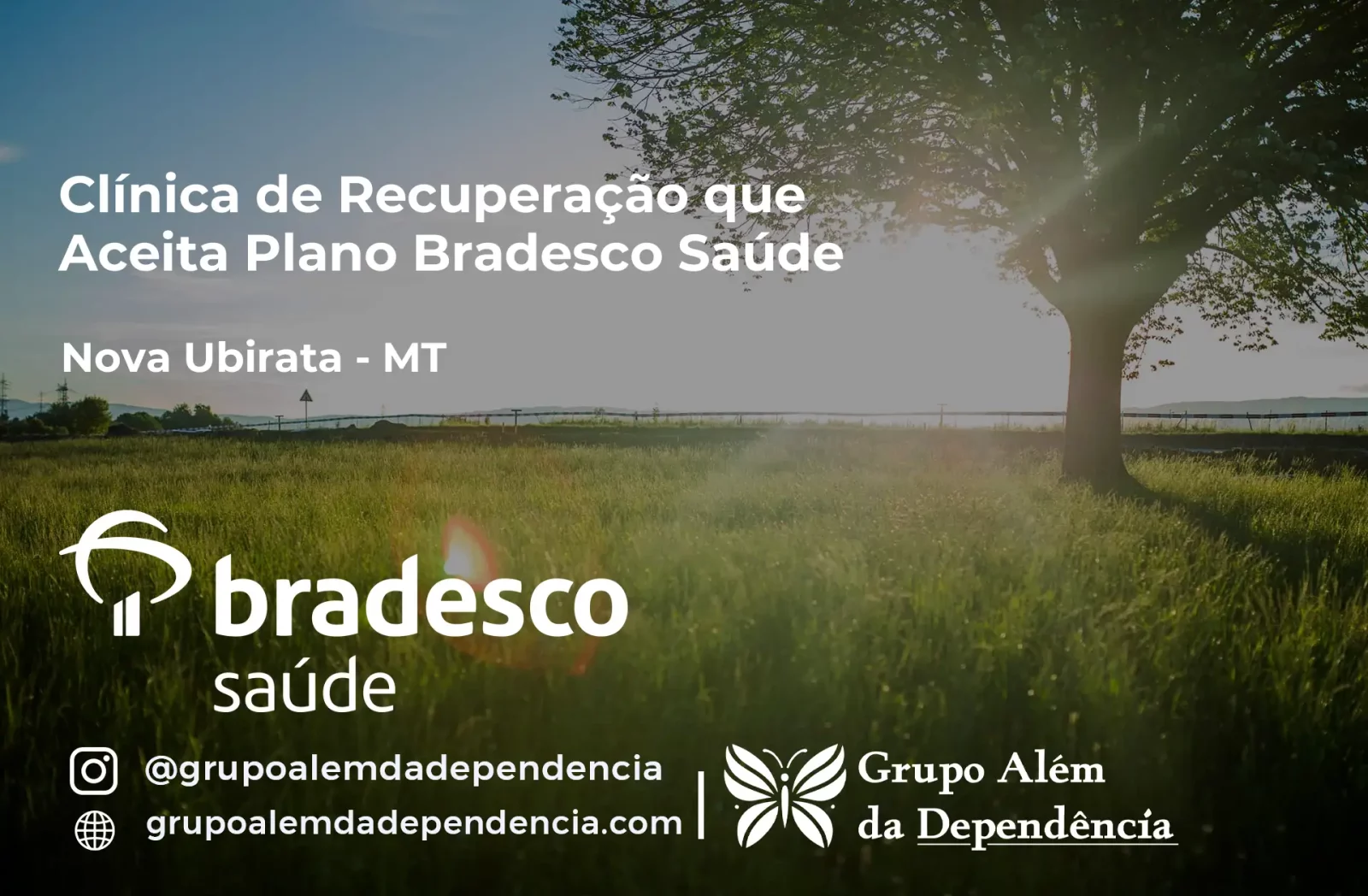 Clínica de Recuperação que Aceita Bradesco Saúde em Nova Ubiratã - MT