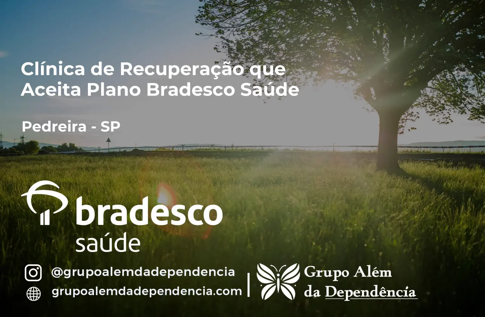 Clínica de Recuperação que Aceita Bradesco Saúde em Pedreira - SP