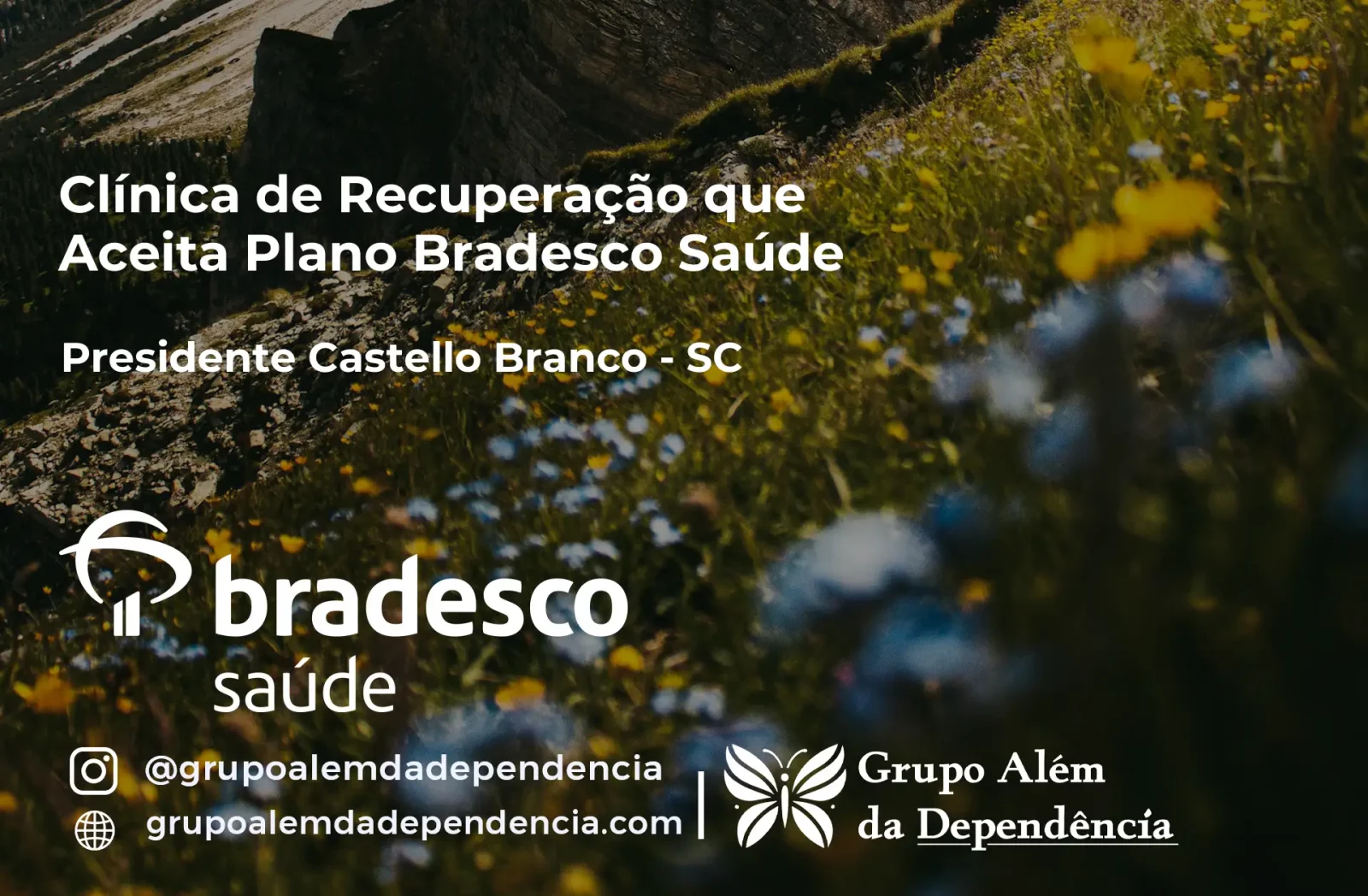 Clínica de Recuperação que Aceita Bradesco Saúde em Presidente Castello Branco - SC