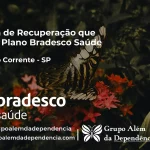 Clínica de Recuperação que Aceita Bradesco Saúde em Ribeirão Corrente - SP