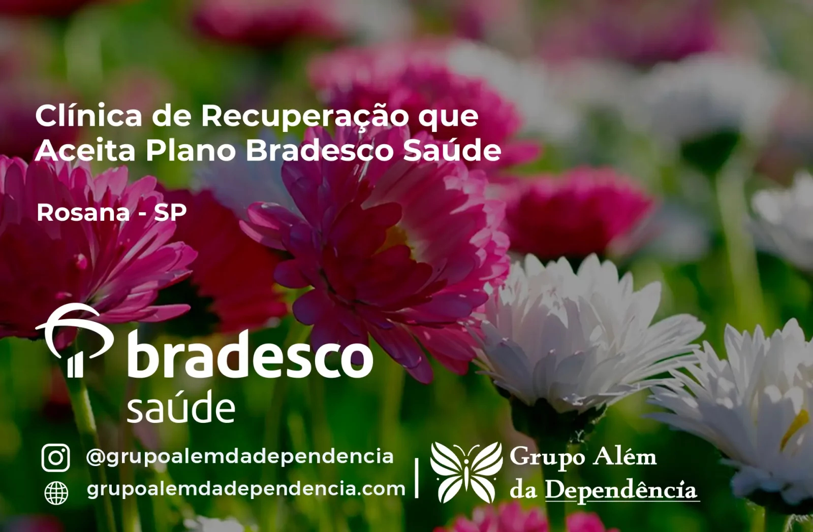 Clínica de Recuperação que Aceita Bradesco Saúde em Rosana - SP