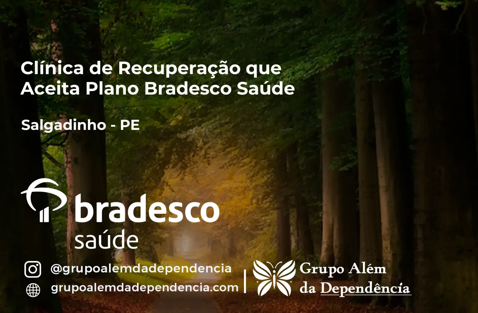 Clínica de Recuperação que Aceita Bradesco Saúde em Salgadinho - PE