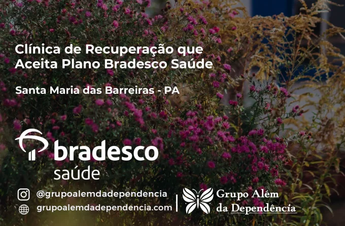 Clínica de Recuperação que Aceita Bradesco Saúde em Santa Maria das Barreiras - PA