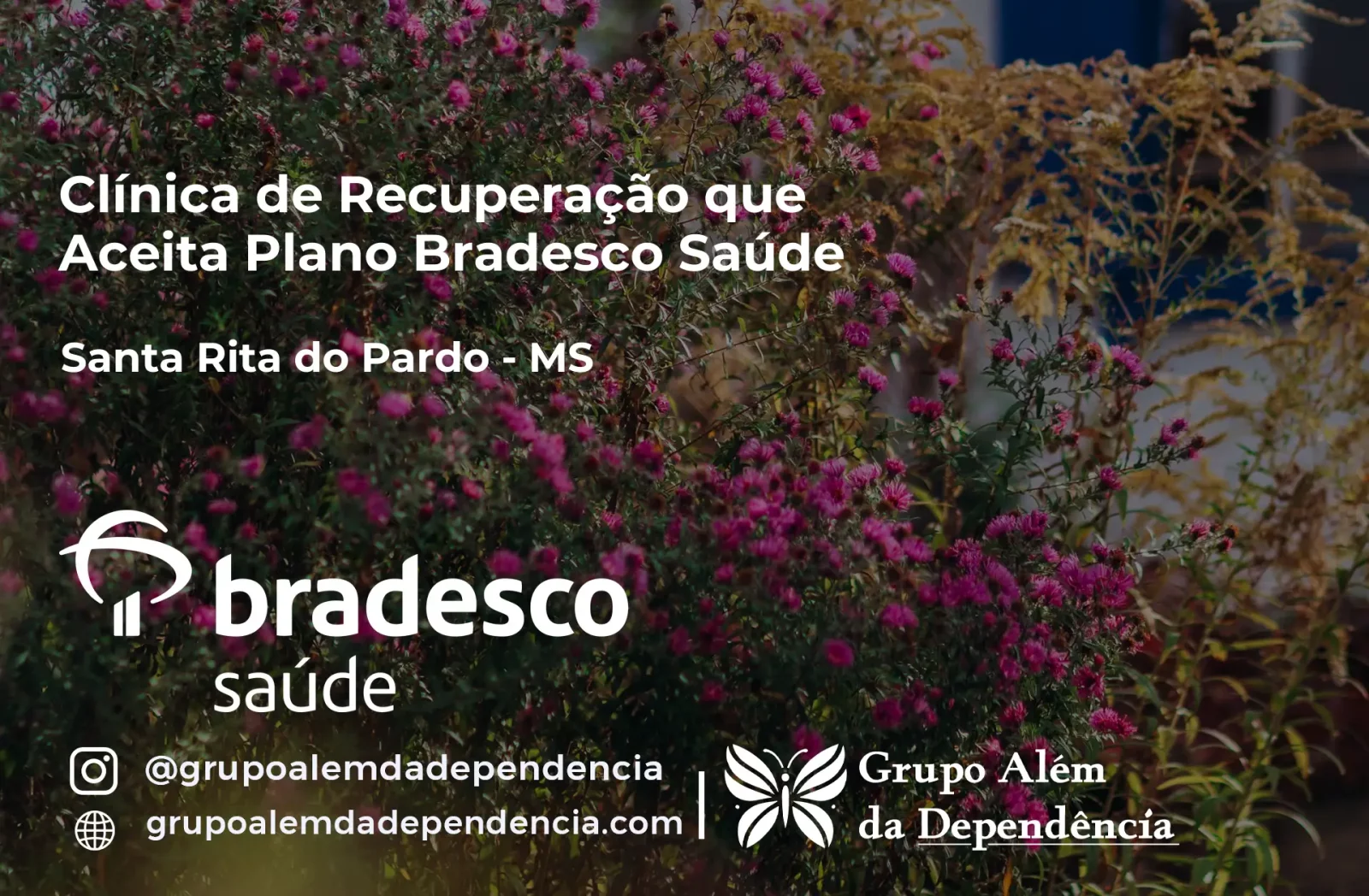 Clínica de Recuperação que Aceita Bradesco Saúde em Santa Rita do Pardo - MS