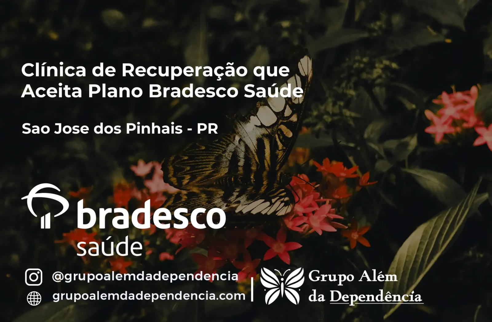 Clínica de Recuperação que Aceita Bradesco Saúde em São José dos Pinhais - PR