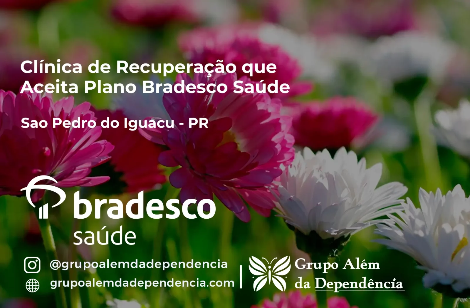 Clínica de Recuperação que Aceita Bradesco Saúde em São Pedro do Iguaçu - PR