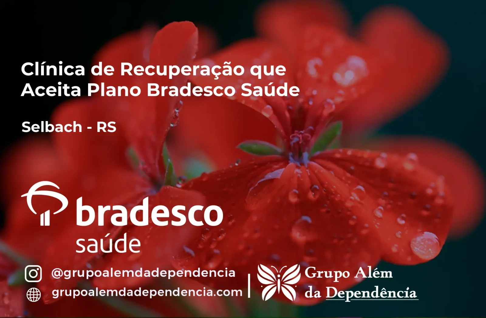 Clínica de Recuperação que Aceita Bradesco Saúde em Selbach - RS