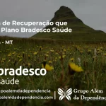 Clínica de Recuperação que Aceita Bradesco Saúde em Tapurah - MT