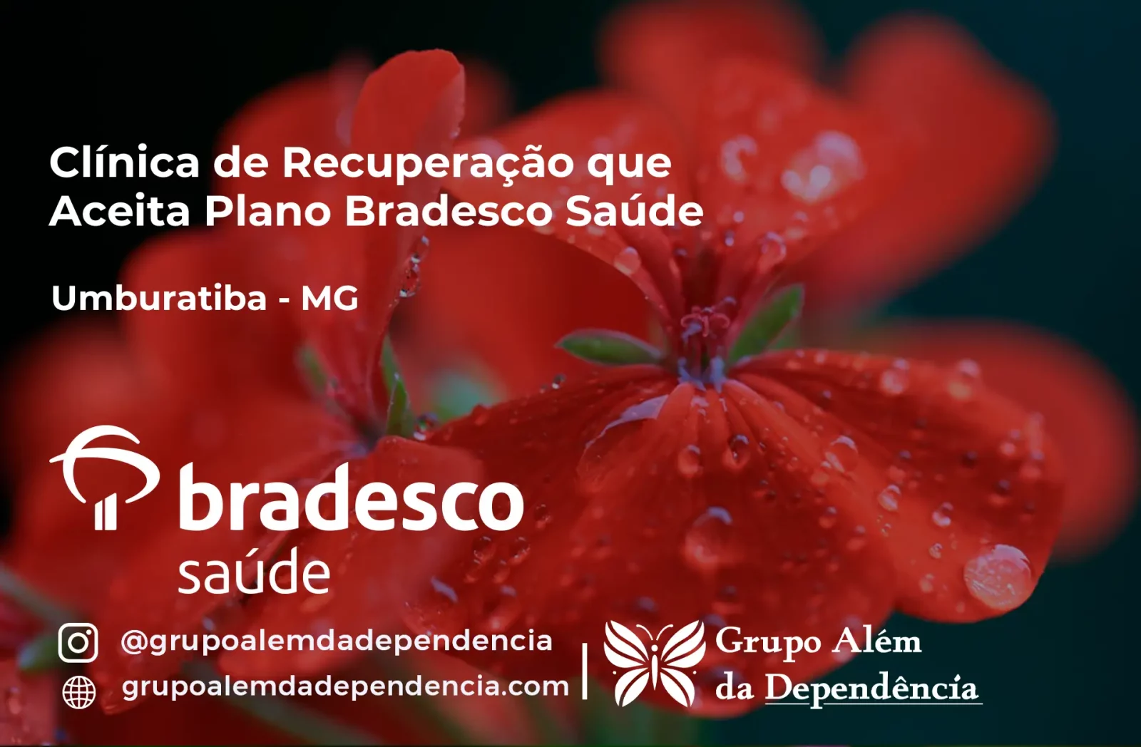 Clínica de Recuperação que Aceita Bradesco Saúde em Umburatiba - MG