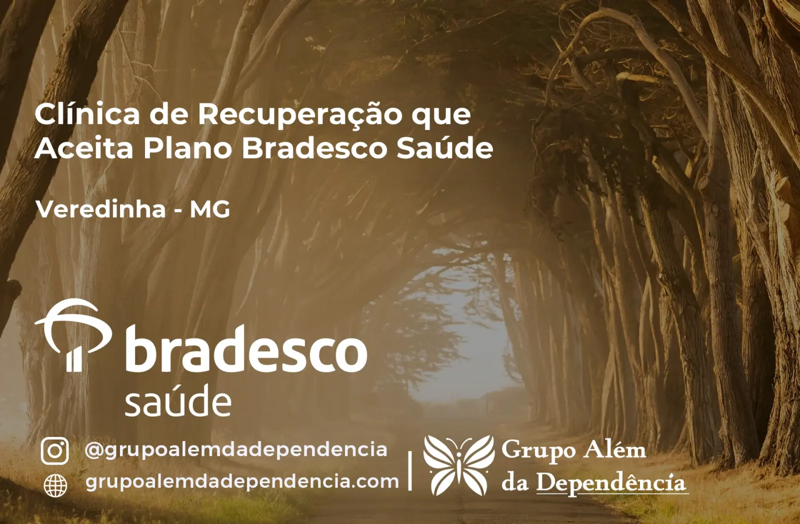 Clínica de Recuperação que Aceita Bradesco Saúde em Veredinha - MG