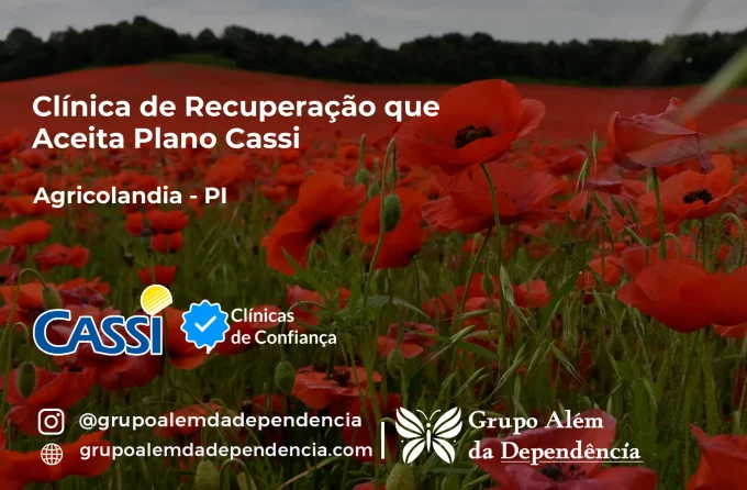 Clínica de Recuperação que Aceita CASSI em Agricolândia -PI