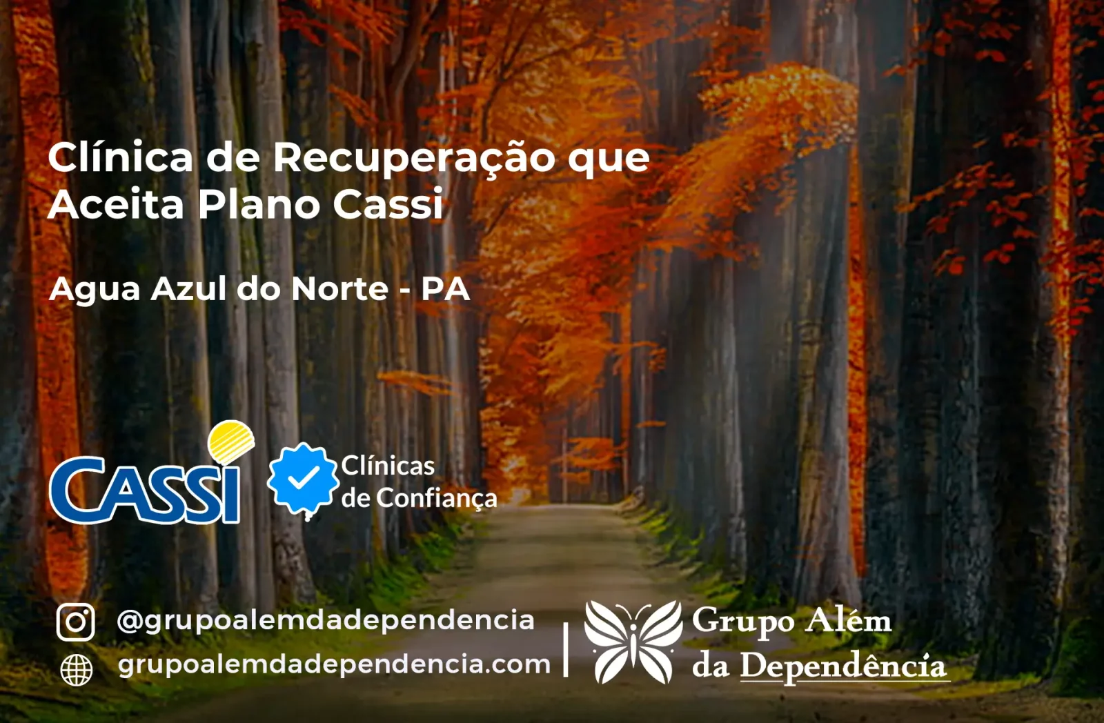 Clínica de Recuperação que Aceita CASSI em Água Azul do Norte -PA