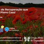 Clínica de Recuperação que Aceita CASSI em Arraial -PI