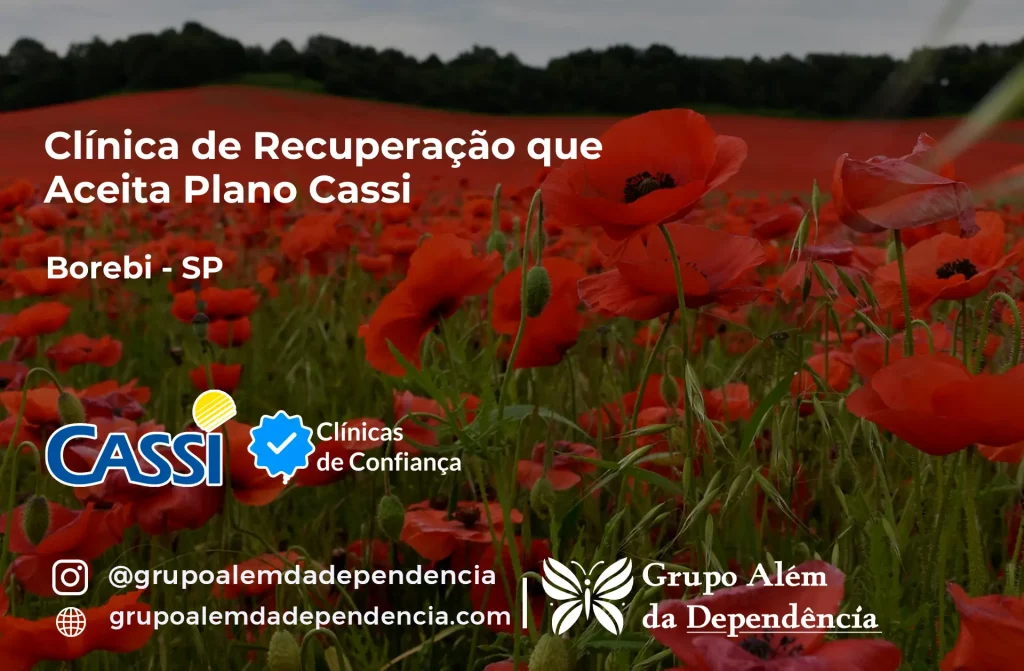 Clínica de Recuperação que Aceita CASSI em Borebi -SP 1 Clínica de Recuperação que Aceita CASSI em Borebi -SP