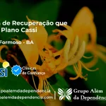 Clínica de Recuperação que Aceita CASSI em Campo Formoso -BA