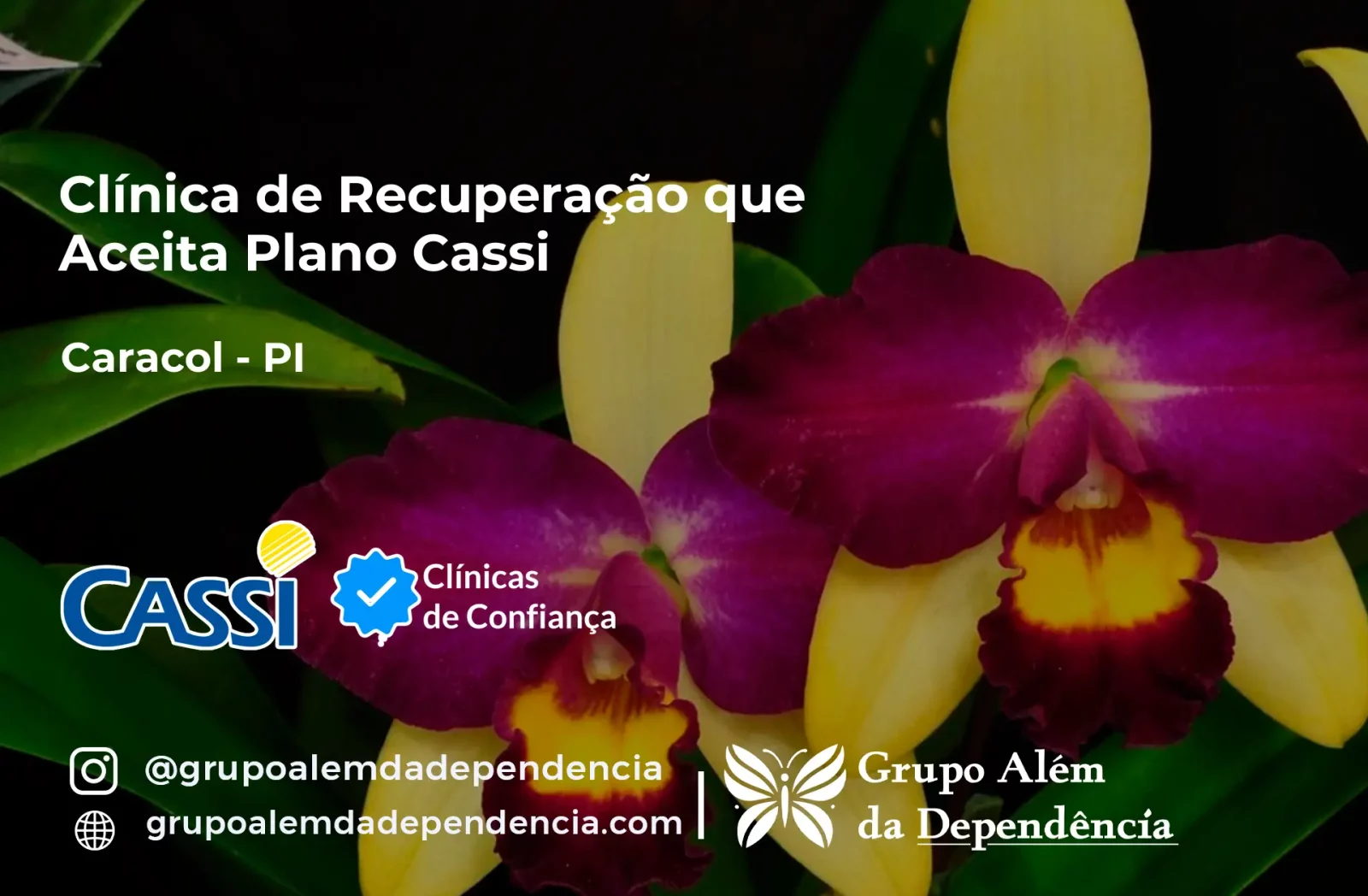 Clínica de Recuperação que Aceita CASSI em Caracol -PI