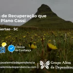 Clínica de Recuperação que Aceita CASSI em Flor do Sertão -SC