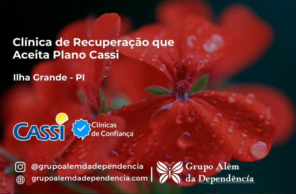 Clínica de Recuperação que Aceita CASSI em Ilha Grande -PI 1 Clínica de Recuperação que Aceita CASSI em Ilha Grande -PI