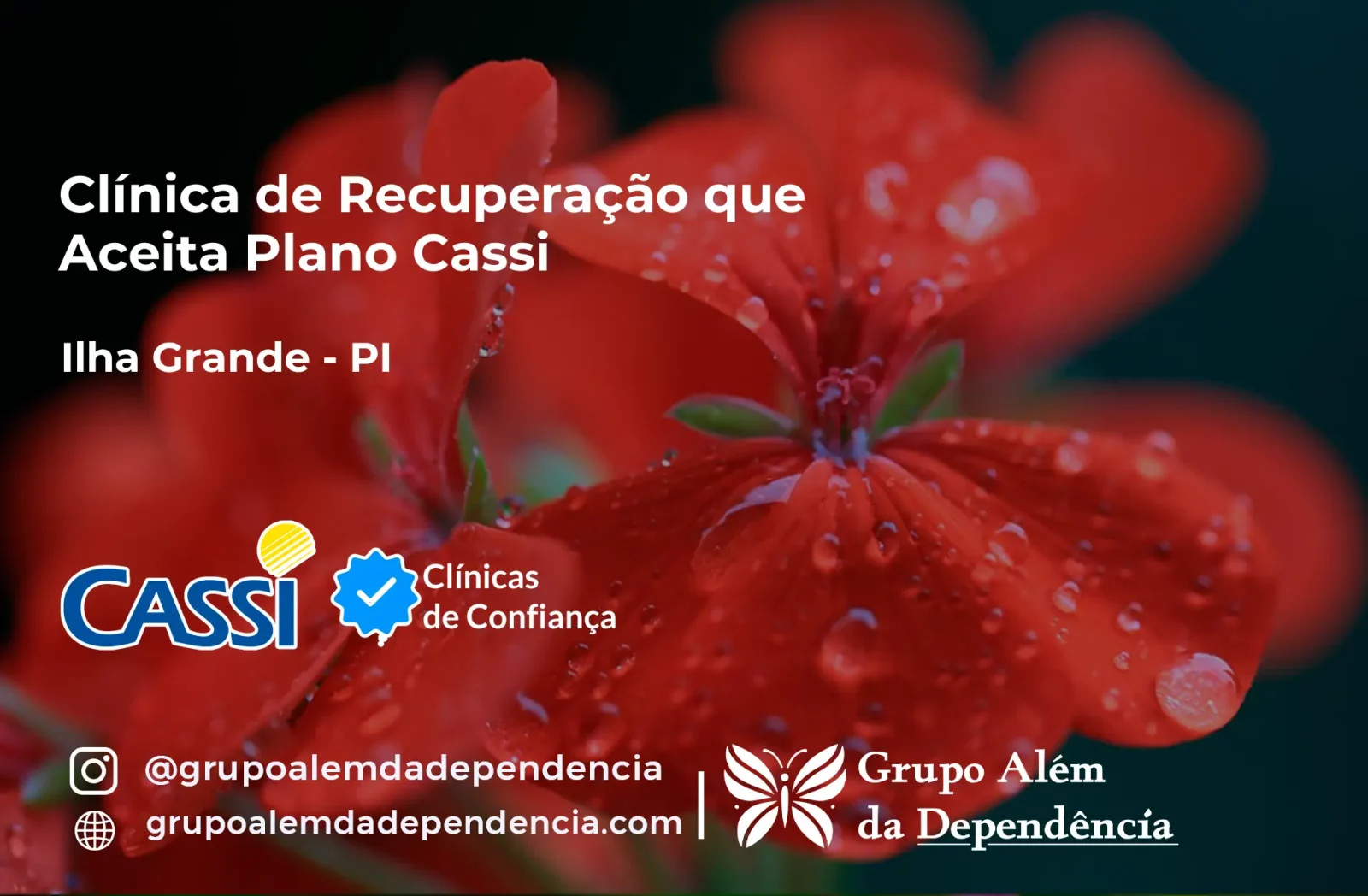 Clínica de Recuperação que Aceita CASSI em Ilha Grande -PI