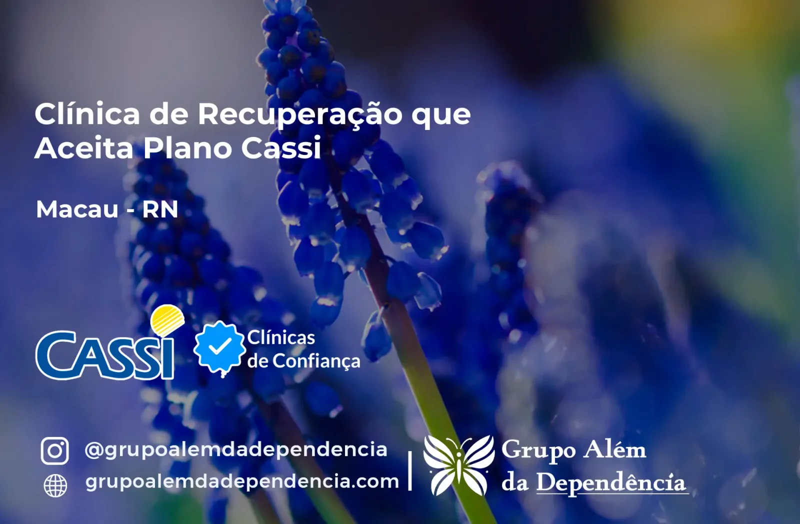Clínica de Recuperação que Aceita CASSI em Macau -RN