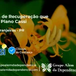 Clínica de Recuperação que Aceita CASSI em Nova Laranjeiras -PR