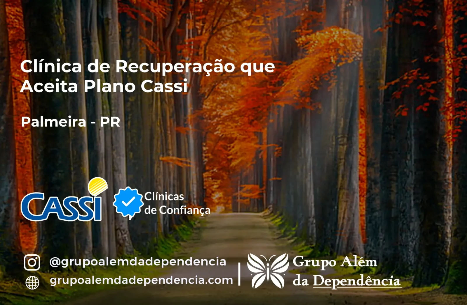 Clínica de Recuperação que Aceita CASSI em Palmeira -PR