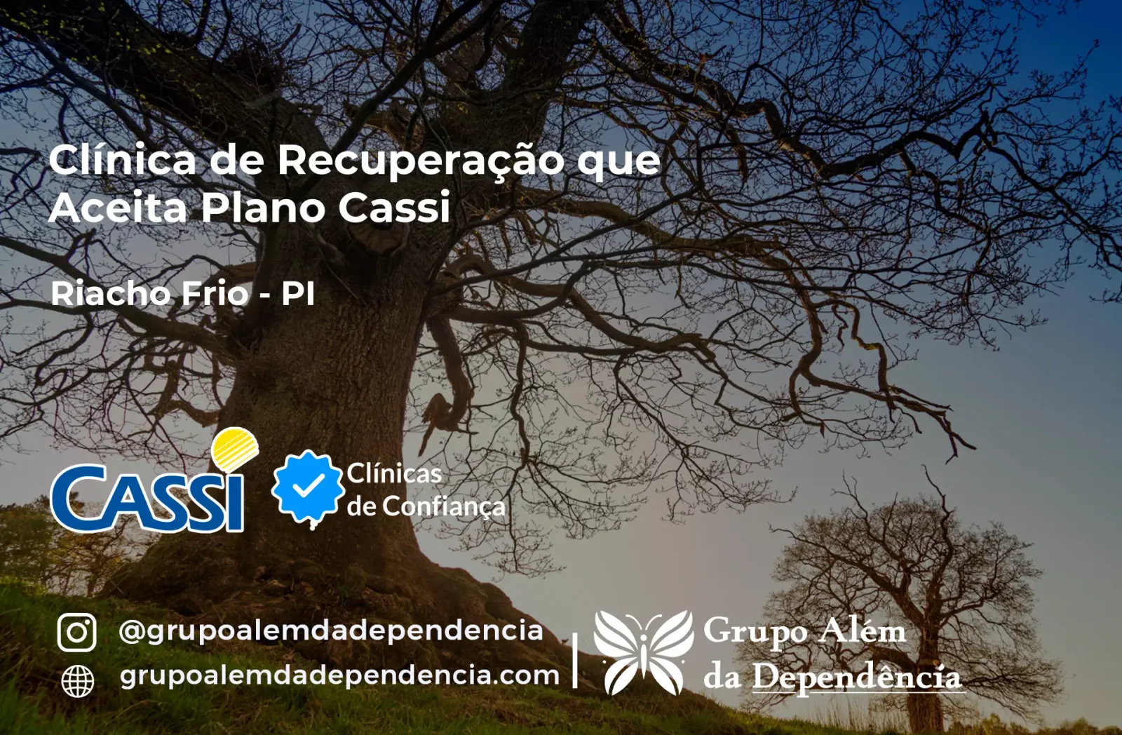 Clínica de Recuperação que Aceita CASSI em Riacho Frio -PI