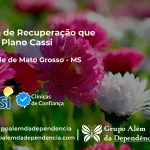 Clínica de Recuperação que Aceita CASSI em Rio Verde de Mato Grosso -MS