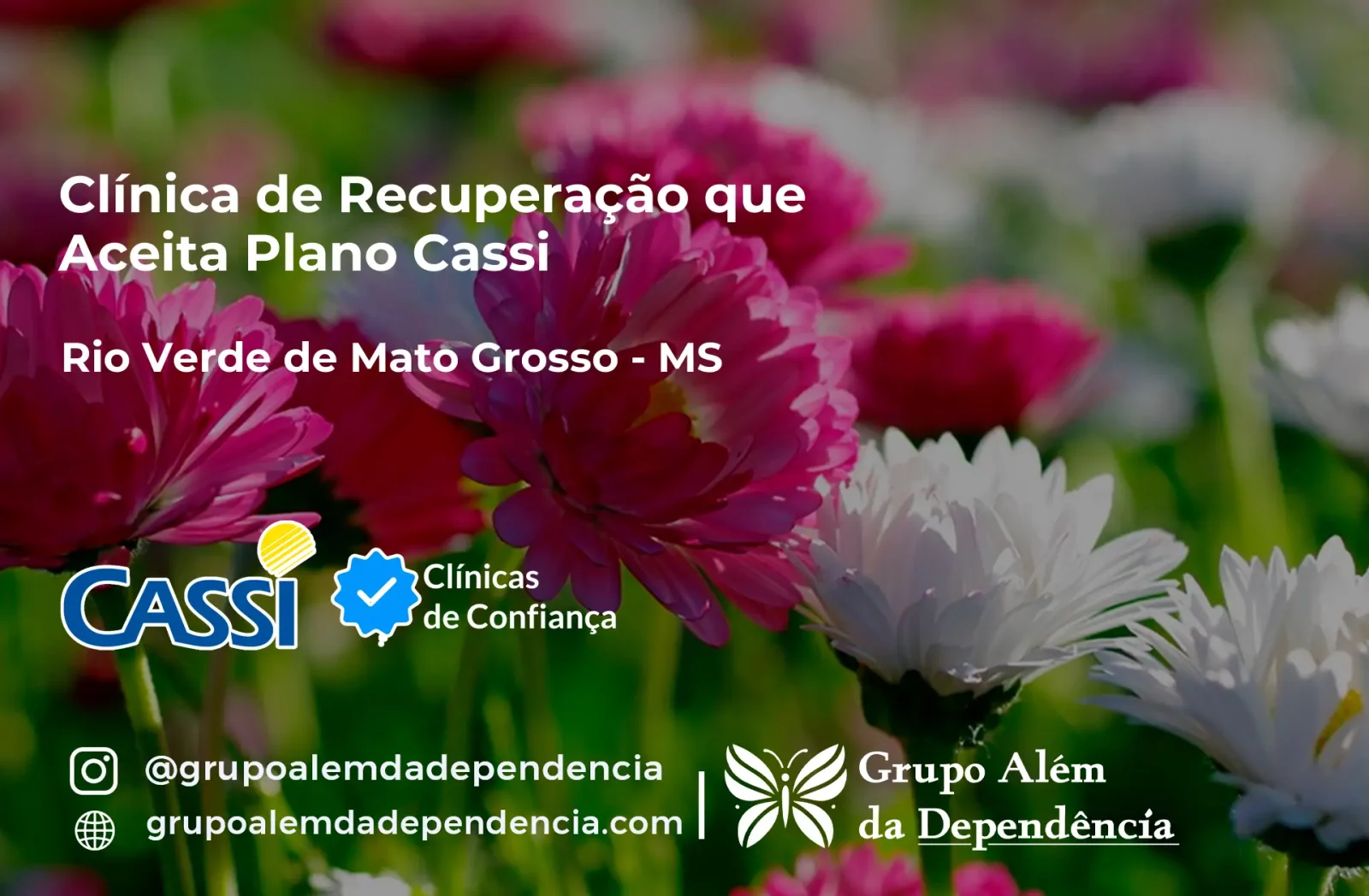 Clínica de Recuperação que Aceita CASSI em Rio Verde de Mato Grosso -MS