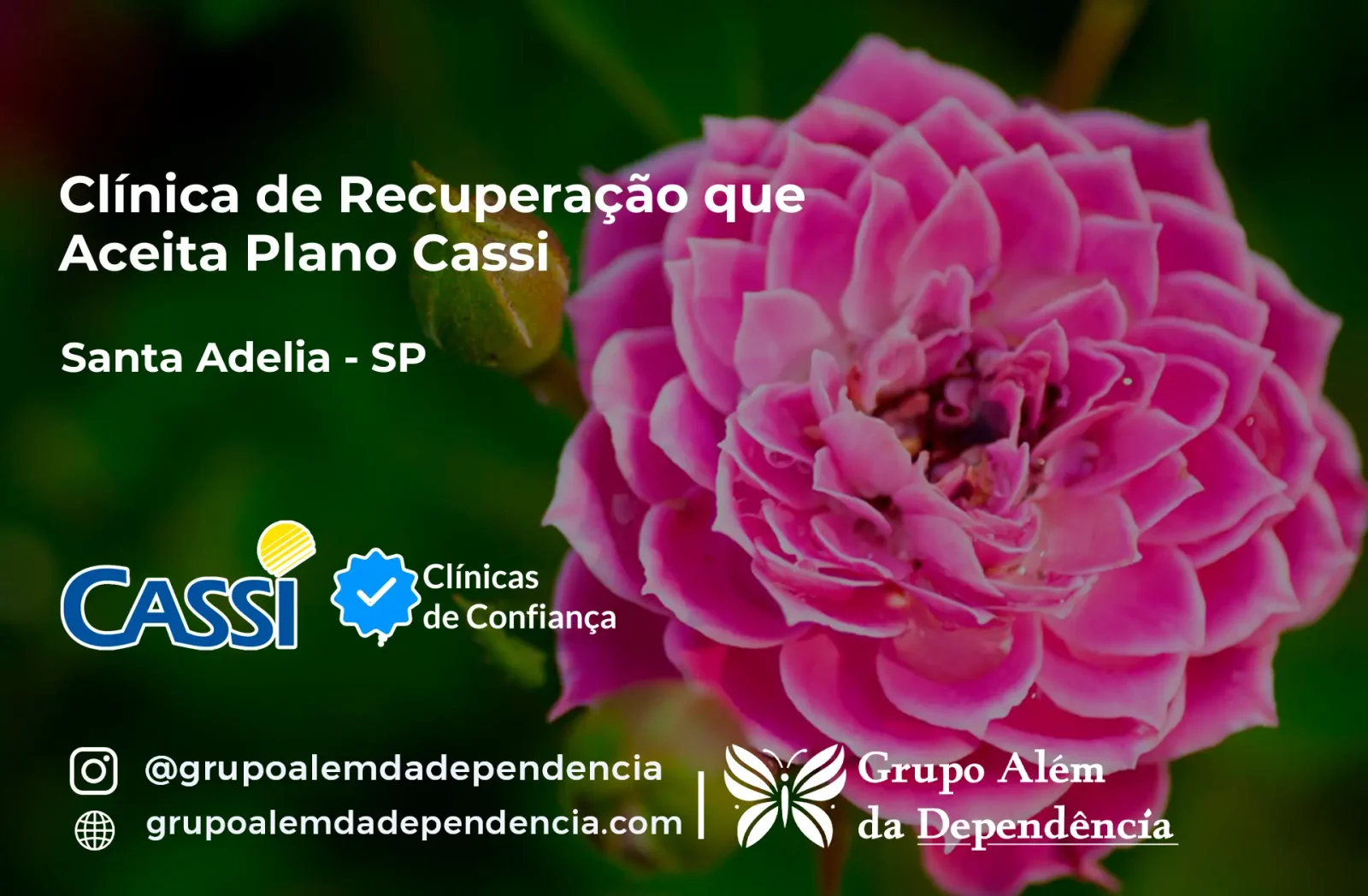 Clínica de Recuperação que Aceita CASSI em Santa Adélia -SP